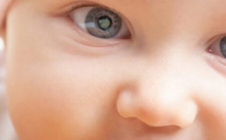 f9c77830e9030cc38730fc3e4390aa7c